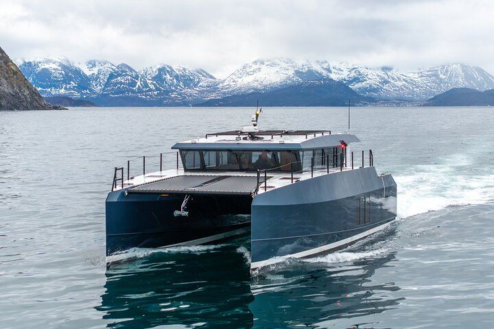 Northern Lights Cruise by Luxury Catamaran from Tromsø, Up to 6 per Booking (1/8)