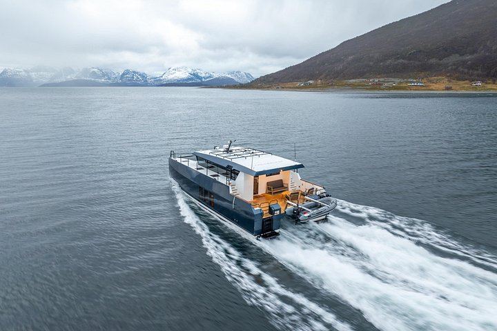 Northern Lights Cruise by Luxury Catamaran from Tromsø, Up to 6 per Booking (4/8)