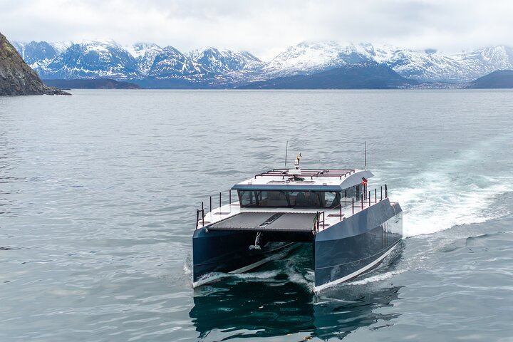 Northern Lights Cruise by Luxury Catamaran from Tromsø, Up to 6 per Booking (8/8)