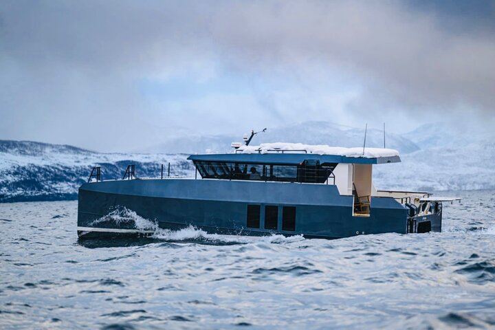 Northern Lights Cruise by Luxury Catamaran from Tromsø, Up to 6 per Booking (7/8)