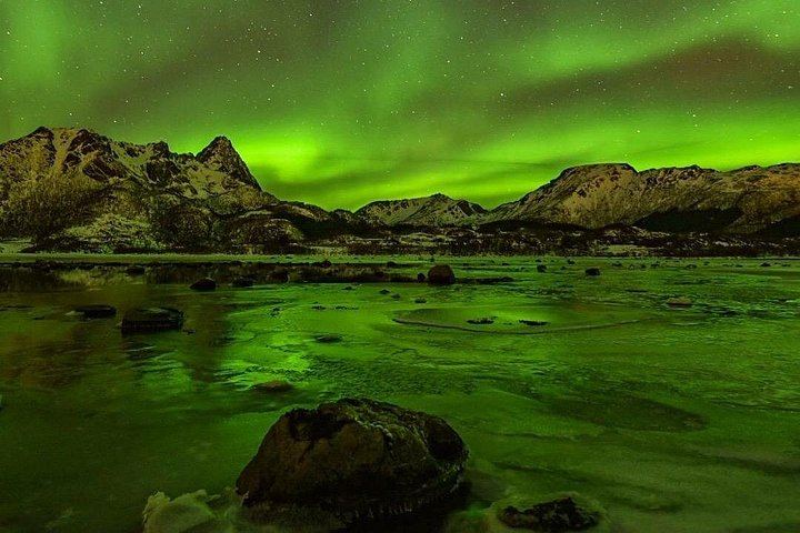 Northern Lights Cruise by Luxury Catamaran from Tromsø, Up to 6 per Booking (2/8)