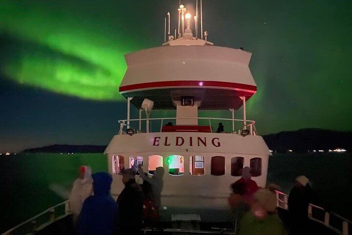 Northern Lights Cruise from Downtown Reykjavík (11/11)