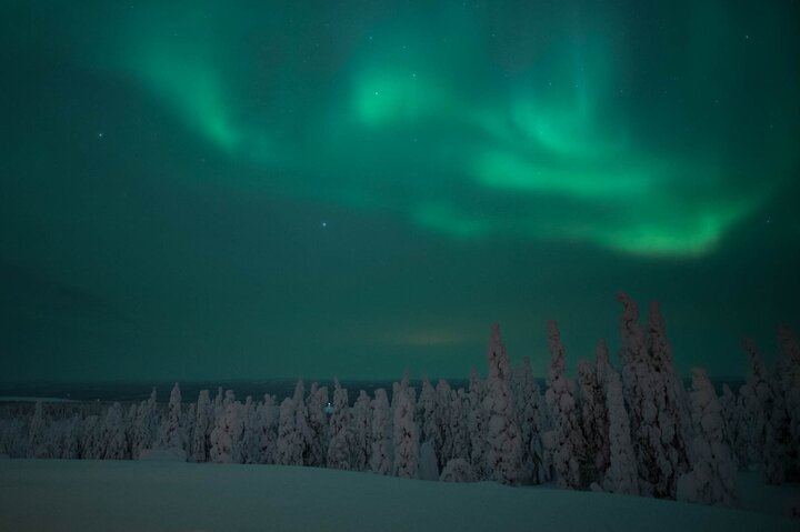 Night Snowmobile Safari in Search of the Northern Lights, Rovaniemi (5/10)