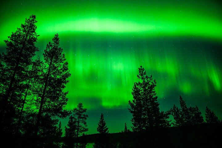 Family Friendly Northern Lights Evening from Rovaniemi, 3 Hours (5/11)