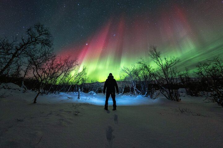 Northern Lights Expedition from Tromso for Six with an Arctic Photo Guide (7/12)