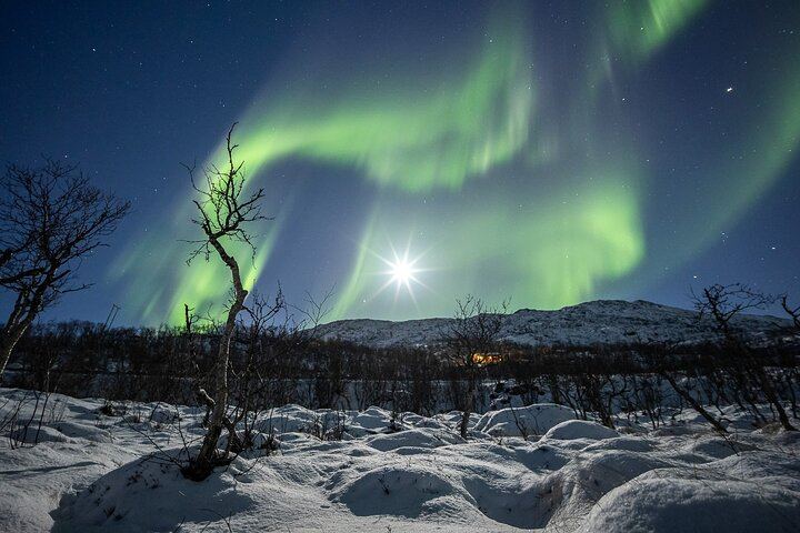 Northern Lights Expedition from Tromso for Six with an Arctic Photo Guide (11/12)