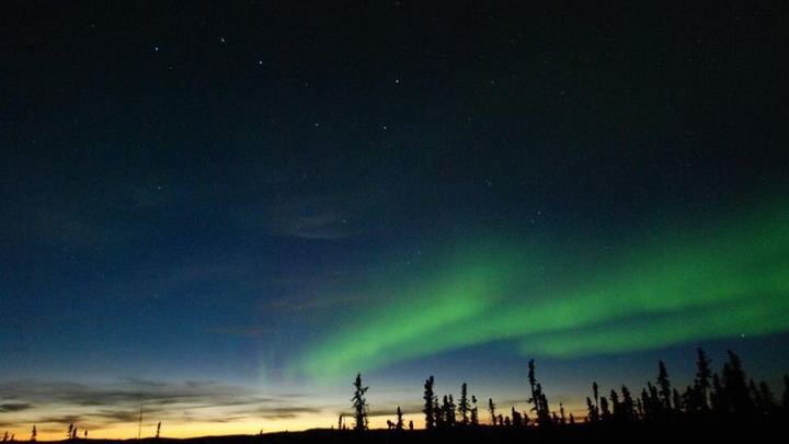 Northern Lights Viewing with a Home Cooked Cabin Dinner near Fairbanks