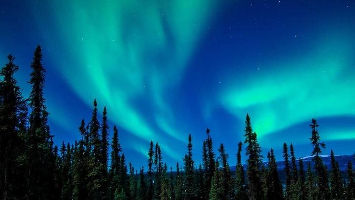 Observation des aurores boréales avec un dîner préparé maison et hors réseau, près de Fairbanks (3/5)