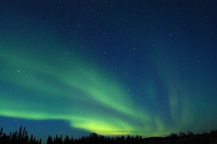 Observation des aurores boréales avec un dîner préparé maison et hors réseau, près de Fairbanks (4/5)