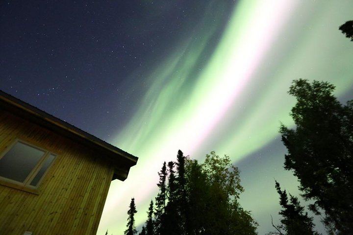 Observation des aurores boréales avec un dîner préparé maison et hors réseau, près de Fairbanks (5/5)
