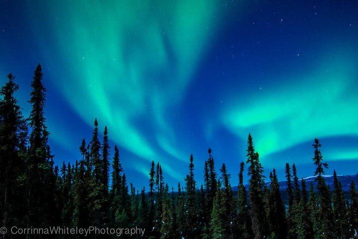 Observation des aurores boréales avec un dîner préparé maison et hors réseau, près de Fairbanks (3/5)