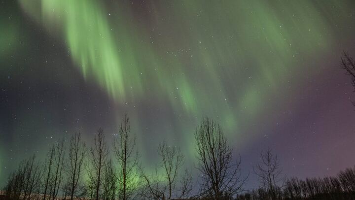 Northern Lights 4x4 Minibus Photography Tour from Akureyri (2/6)