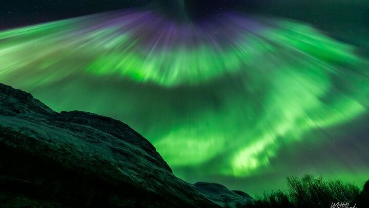 Guided Northern Lights Bus Tour from Tromso with Free Photos