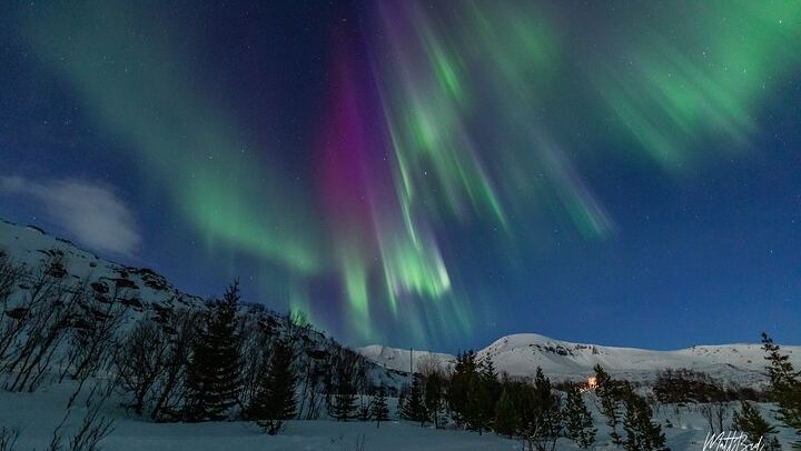 Guided Northern Lights Bus Tour from Tromso with Free Photos (4/6)
