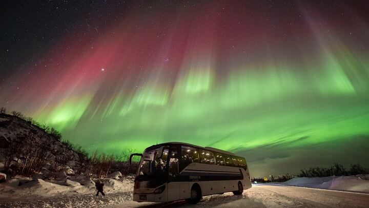 Guided Northern Lights Bus Tour from Tromso with Free Photos (1/6)