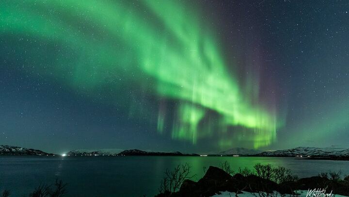 Guided Northern Lights Bus Tour from Tromso with Free Photos (3/6)