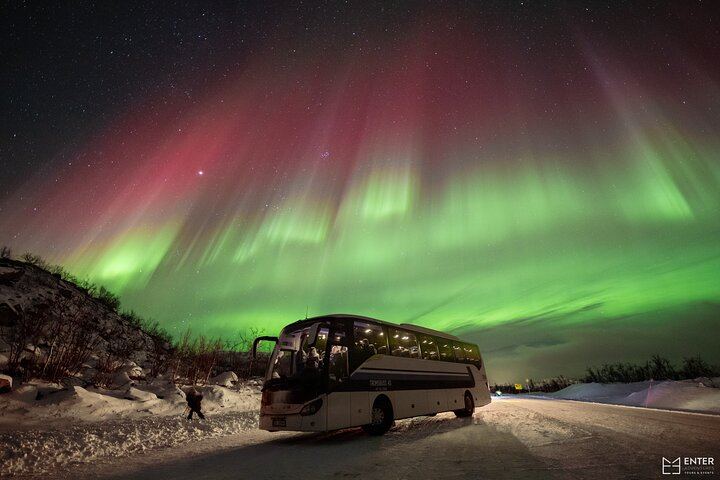 Guided Northern Lights Bus Tour from Tromso with Free Photos (1/6)