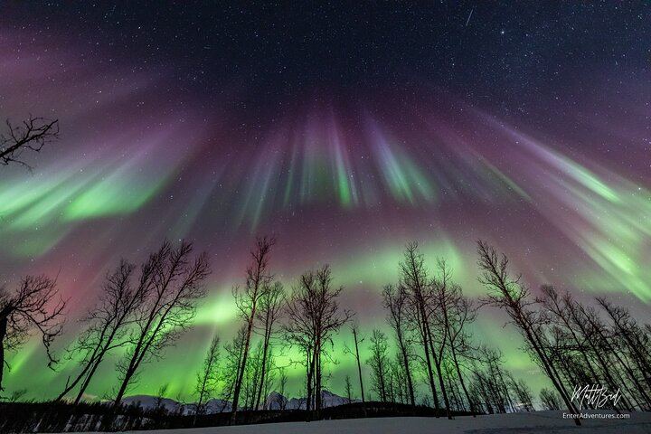 Guided Northern Lights Bus Tour from Tromso with Free Photos (6/6)