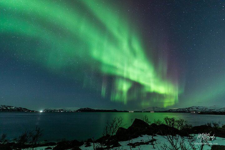 Guided Northern Lights Bus Tour from Tromso with Free Photos (3/6)