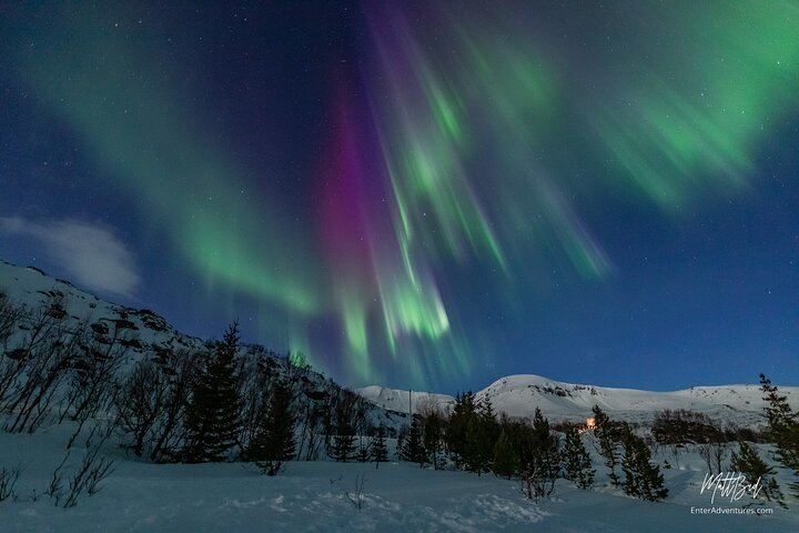 Guided Northern Lights Bus Tour from Tromso with Free Photos (4/6)