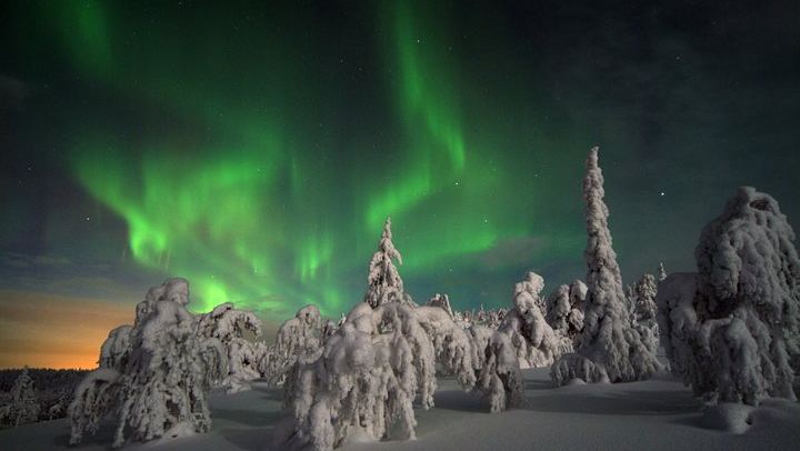 Three Hour Evening Snowmobile Safari from Levi with Bonfire (4/8)