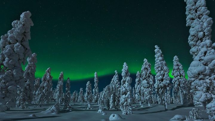 Evening Snowmobile Safari from Rovaniemi with Campfire Picnic (4/6)