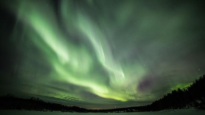Chasse aux aurores en minibus au départ de Rovaniemi, avec feu de camp, collations et contes populaires lapons (2/9)
