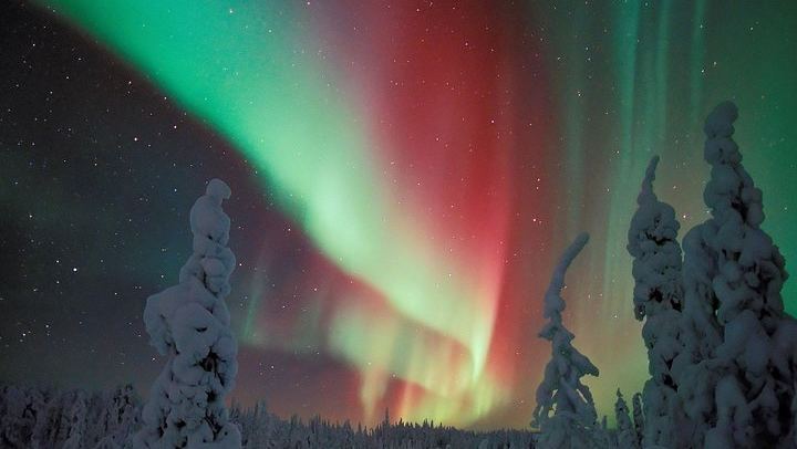Evening Snowmobile Safari from Rovaniemi with Campfire Picnic (3/6)