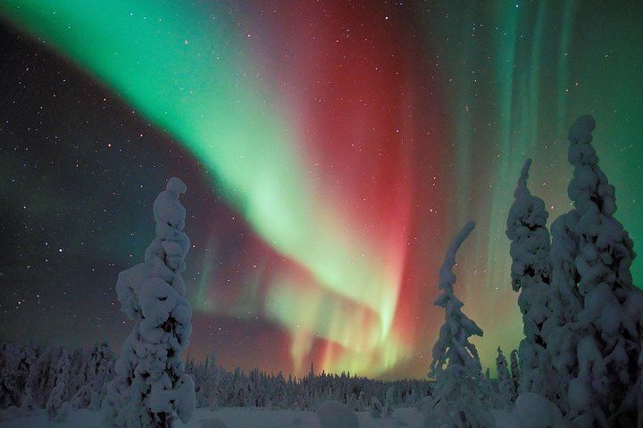 Evening Snowmobile Safari from Rovaniemi with Campfire Picnic (3/6)