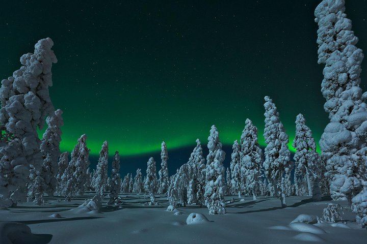 Evening Snowmobile Safari from Rovaniemi with Campfire Picnic (4/6)