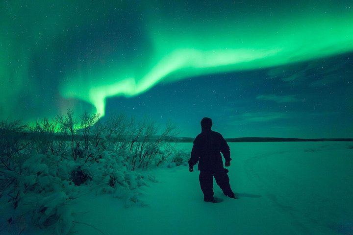 Evening Snowmobile Safari from Rovaniemi with Campfire Picnic (5/6)