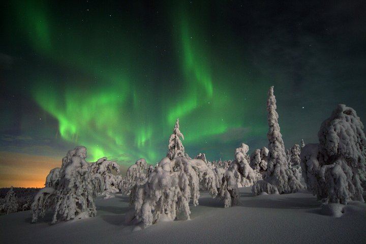 Three Hour Evening Snowmobile Safari from Levi with Bonfire (4/8)