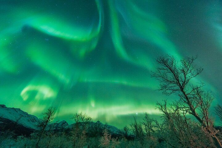 All Inclusive Northern Lights Hunt with The Green Adventure, Photos Included (11/11)