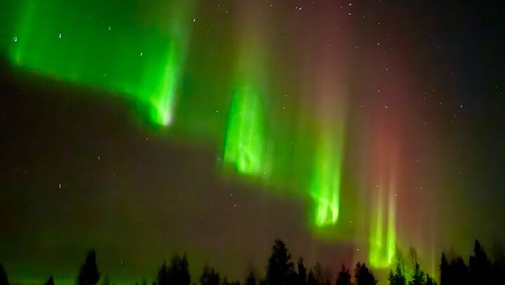 Chasse aux aurores à Rovaniemi, avec feu de camp, tarte finlandaise et jus de baies (2/12)