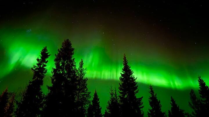 Chasse aux aurores à Rovaniemi, avec feu de camp, tarte finlandaise et jus de baies (1/12)