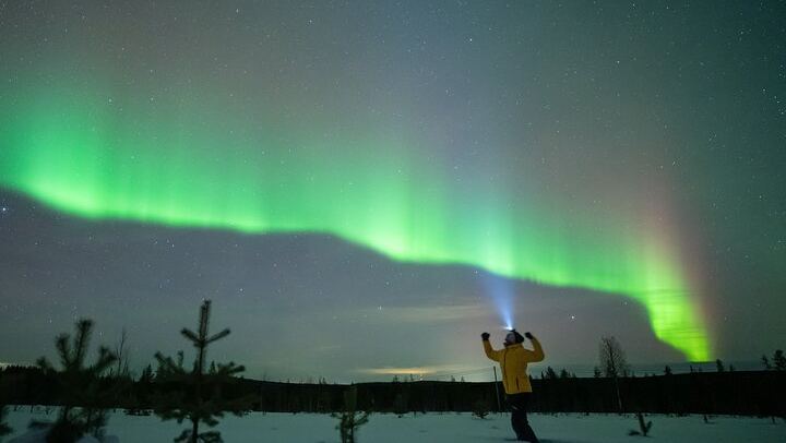 Aurora Photography Hunt from Rovaniemi with Next Day Photo Delivery