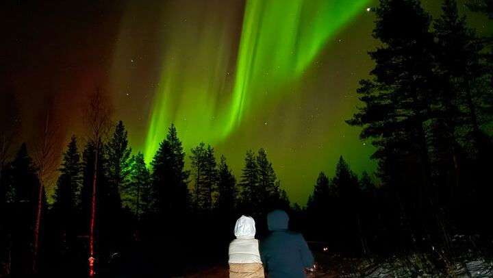 Rovaniemi Aurora Hunt with Campfire, Finnish Pie and Berry Juice
