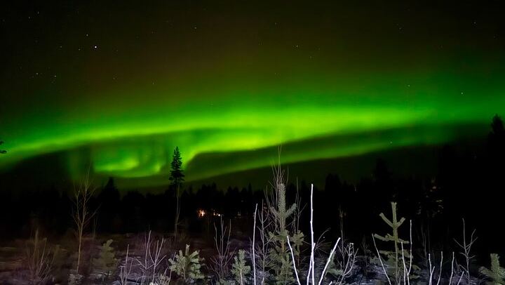 Chasse aux aurores à Rovaniemi, avec feu de camp, tarte finlandaise et jus de baies (4/12)