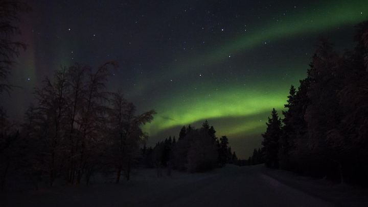 Northern Lights Hunt by Car from Rovaniemi with Campfire and Photos