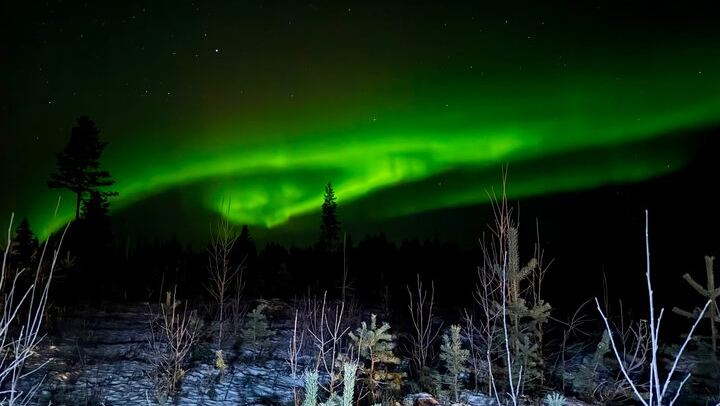 Chasse aux aurores à Rovaniemi, avec feu de camp, tarte finlandaise et jus de baies (3/12)