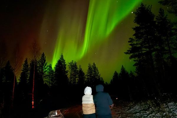 Rovaniemi Aurora Hunt with Campfire, Finnish Pie and Berry Juice