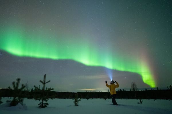 Aurora Photography Hunt from Rovaniemi with Next Day Photo Delivery