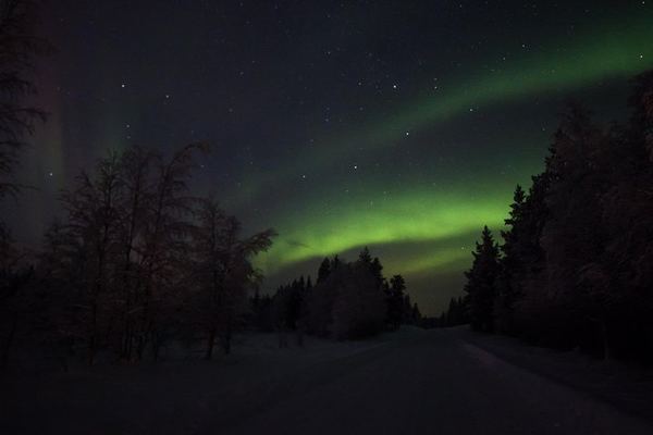 Northern Lights Hunt by Car from Rovaniemi with Campfire and Photos