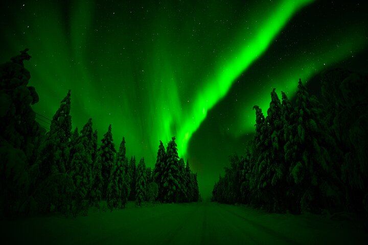 Family Friendly Northern Lights Evening from Rovaniemi, 3 Hours (6/11)