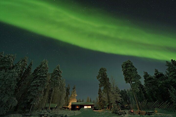 Northern Lights Hunt from a Lappish Cottage in the Forest (1/12)
