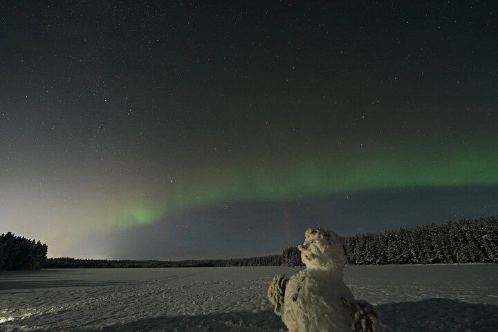 Northern Lights Hunt from a Lappish Cottage in the Forest (11/12)