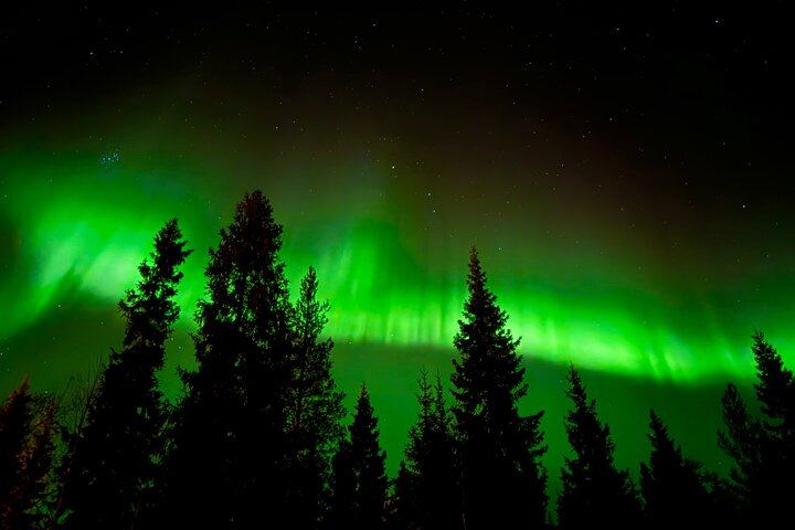 Chasse aux aurores à Rovaniemi, avec feu de camp, tarte finlandaise et jus de baies (1/12)