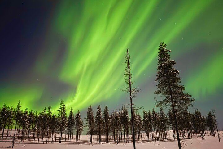 Chasse aux aurores à Rovaniemi, avec feu de camp, tarte finlandaise et jus de baies (7/12)