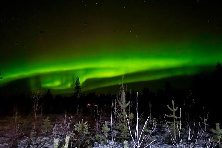 Chasse aux aurores à Rovaniemi, avec feu de camp, tarte finlandaise et jus de baies (4/12)