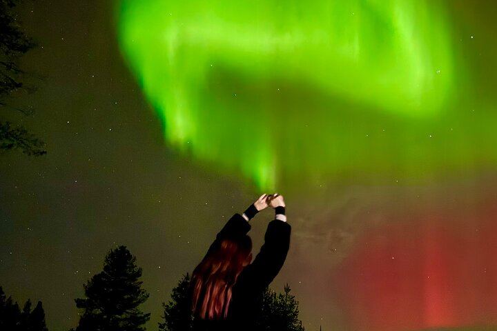 Chasse aux aurores à Rovaniemi, avec feu de camp, tarte finlandaise et jus de baies (6/12)